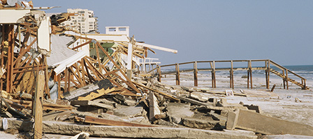 Were You Affected by a Disaster Loss?